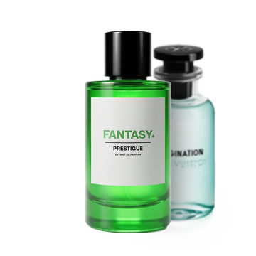 FANTASY reference image